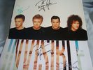 Queen. Signed. Autographed.(By all 4) 2 x 12