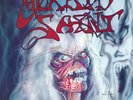 MORBID SAINT - Spectrum Of Death  Vinyl,LP,Ultra-RAR