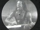 Metallica LIVE IN CLEVELAND Picture Disc LP