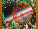 FreeS&H MILES DAVIS AGHARTA JAPANESE ONLY 2LP Gatefold