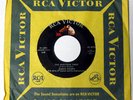 DIANNE BROOKS Orbiteer Twist 60's Soul Rocker 45 LISTEN