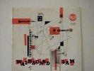 WASHBOARD SAM 10 Inch LP Classic No.26 1938_1941 Rca