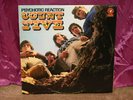 COUNT FIVE PSYCHOTIC REATION LP NEAR MINT ACID PSYCH