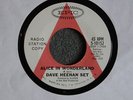 TEFTELLER PSYCH Dave Heenan Alice in Wonderland HEAR IT