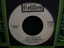Velvet Underground Who Loves The Sun PROMO 45 Mono/Ster
