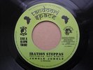 Iration Steppas Featuring tena stelin 7