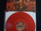 Skeletonwitch 
