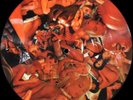 ANAL CUNT HEADFUXX japanoise merzbow coil powernoise