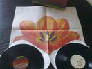 City and Colour,Little Hell LP,Alexis,Dallas Green,hc,