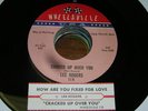 Lee Rogers NORTHERN SOUL 45 Craked Up Over You / How ar