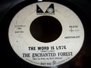 The Enchanted Forest - RARE PSYCH FREAKBEAT 45 HEAR