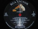 Elvis 