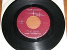 DICKIE & THE EBB TIDES I've Got a Shadow ME Garage/Pop
