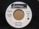 HEY MISTER/60'S PSYCH PROMO ON MAINSTREAM RECORDS