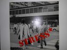 STRESS*  rare Rock o Rama Punk LP 1982