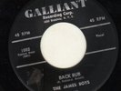 ROCKABILLY - GALLANT--JAMES BOYS--