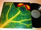 CATAPILLA Changes LP ORIGINAL UK VERTIGO SWIRL 1st 1Y