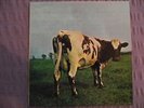 PINK FLOYD - ATOM HEART MOTHER SQ LP