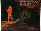BLUEBELL WOOD Big Sleep 1971 1st UK PRESS Nr Mint RARE