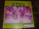 GTO'S Permanent Damage LP Straight STS1059 sleeve ZAPPA