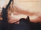 LYNYRD SKYNYRD - Endangered Species, 1994 Rare Dutch LP