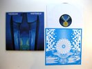 THE HEADS-WHITE HILLS  kyuss desert sessions gnod RARE