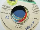 E Bubble - Fe-Me Gypsy 7