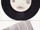 Sheer Smegma Audio Suicide EP Rare FL Garage Punk  HEAR