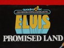 Elvis 