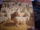 SLIM DUSTY - THIS COUNTRY OF MINE -   EP EXC