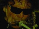 TONY JOE WHITE     Shine    2x LP / Vinyl  OVP SEALED