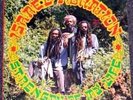 Israel Vibration Strength of My Life LP VG++/NM Reggae