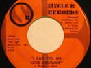 BOBBY O' BROWN I Can Feel My Love SWEET SOUL/FUNK 45