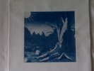 Funeral Procession - Schmerz aus Licht (LP)
