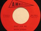 BROWN BOMBERS & SOUL PARTNERS - RARE NORTHERN SOUL 45