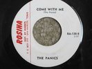 PANICS Come With Me ROSINA Texas (private) garage 45