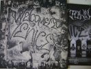 Welcome to Venice (Suicidal tendencies, beowulf, excel)