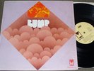RARE DETROIT PSYCH Bump s/t LP Pioneer#2160 L K