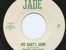 Rare Northern Soul 45 - Bruce Channel - My Baby's  HEAR