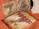 The Devil's Blood - Come, Reap LP RARE Watain Ghost