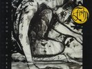 FISH Songs From The Mirror 1993 Exc Condition LP Record