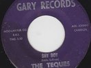 NORTHERN SOUL 45 RPM- THE TEQUES on GARY RECORDS