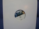 PRINCE PLANET EARTH (2) RECORD LP PROMO SET 2007