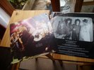 NEW YORK DOLLS 1974 IN TOO MUCH TOO SOON MINT