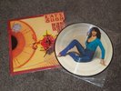 Kate Bush The Kick Inside Picture Disc UNPLAYED