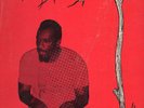 Winston Wright - Grass Roots - Original Press Gee's LP
