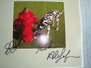 Rush. Signed. Autographed. (By all 3) 'Signals' LP