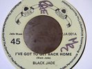 BLACK JADE/GOT TO GET BACK HOME/PRE JADE 7