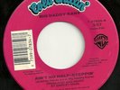 Rap Hip Hop 45 BIG DADDY KANE 