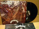 Tormentor ANNO DOMINI LP mint  MAYHEM SATYRICON
